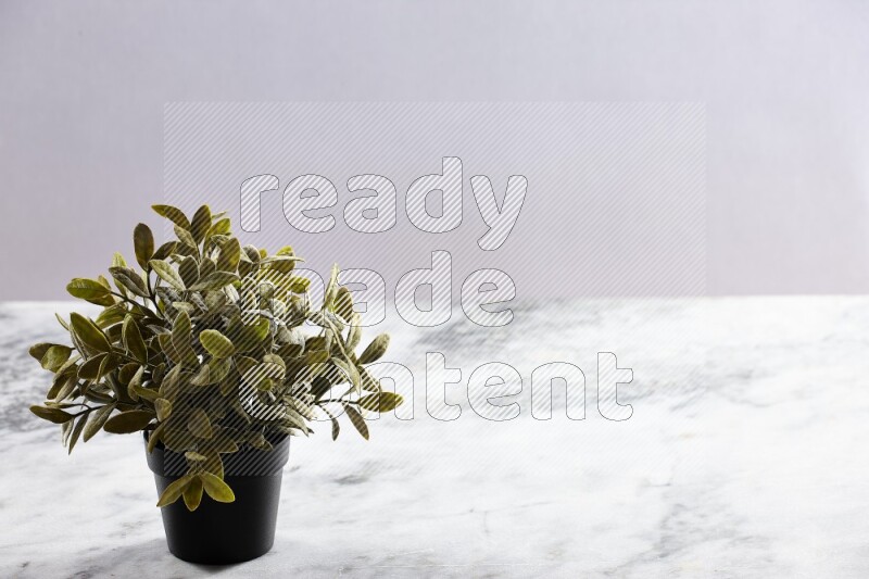 Green artificial plant in black pot on grey marble background
