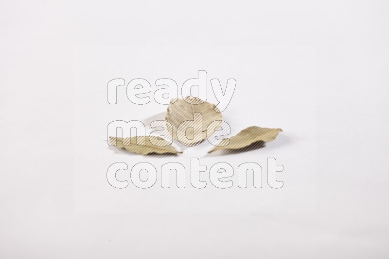 أوراق الغار المجففة علي خلفية بيضاء