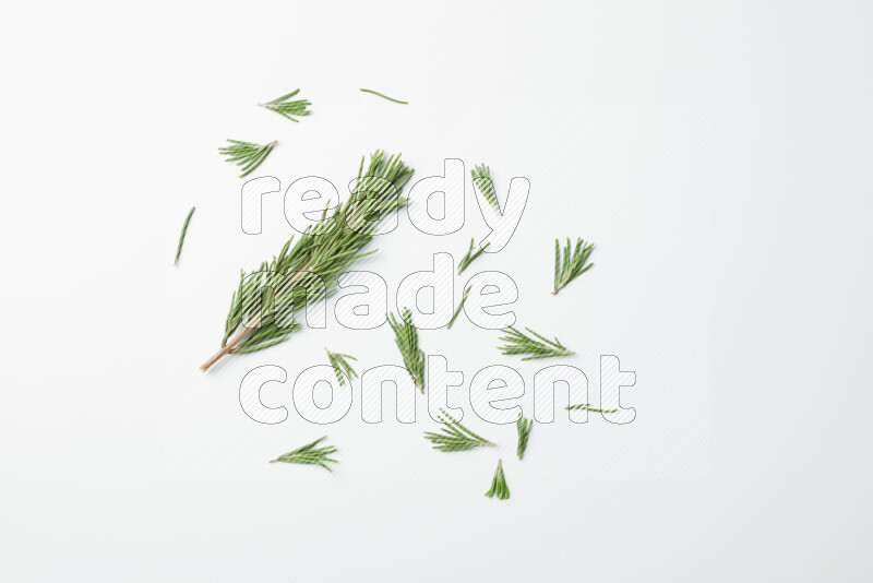 Multi fresh rosemary sprigs on white background