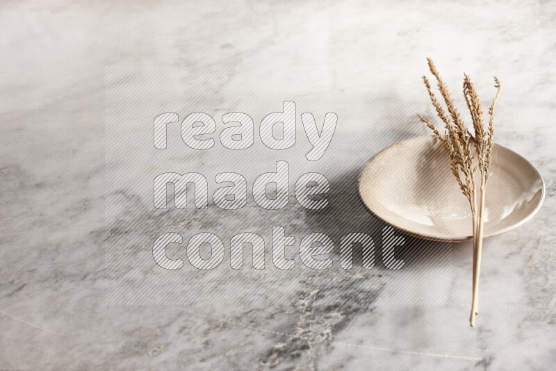 Wheat stalks on Beige Pottery Plate on grey marble flooring, 45 degree angel