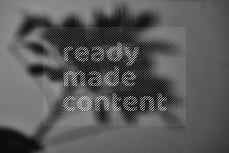 A delicate gobo light projects the silhouette of plant leaves onto a smooth surface