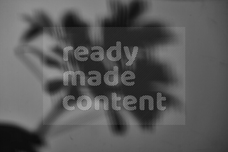 A delicate gobo light projects the silhouette of plant leaves onto a smooth surface