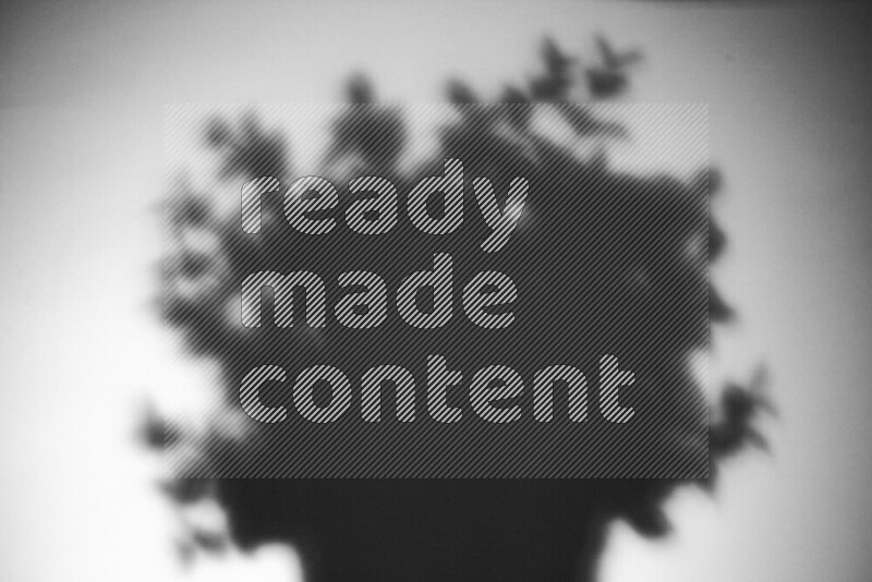 A delicate gobo light projects the silhouette of plant leaves onto a smooth surface