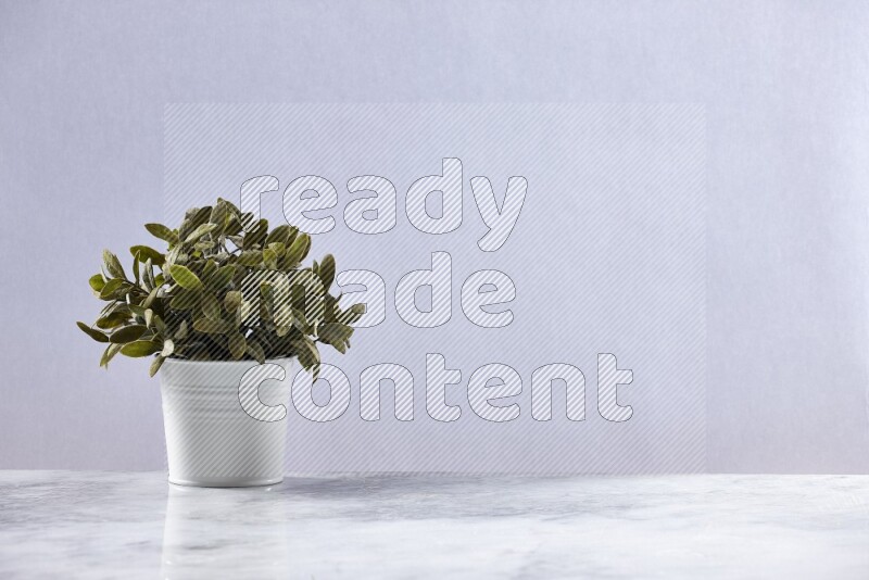 Green artificial plant in white pot on grey marble background