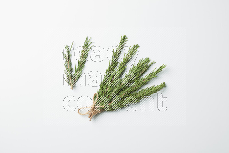 Multi fresh rosemary sprigs on white background