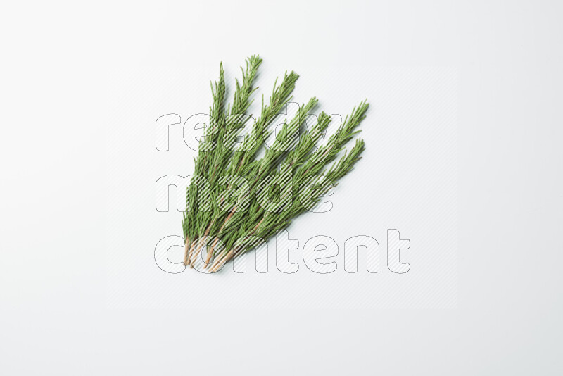 Multi fresh rosemary sprigs on white background