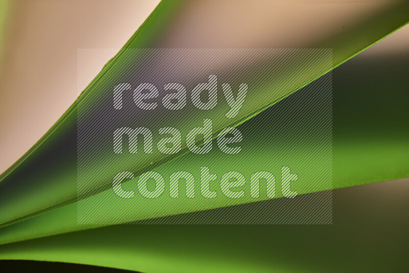 An abstract art piece displaying smooth curves in warm and cold gradients created by colored light