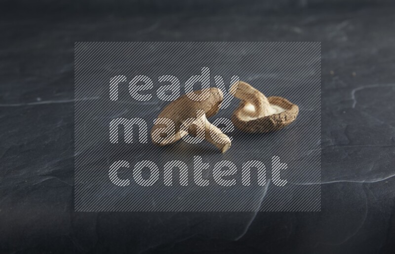 45 degre shiitake mushrooms on a textured black slate background