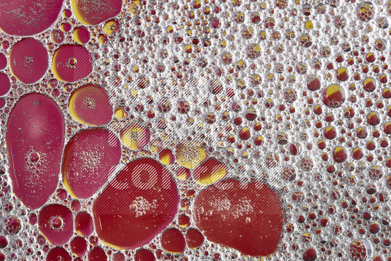 Close-ups of abstract soap bubbles and water droplets on multicolored background