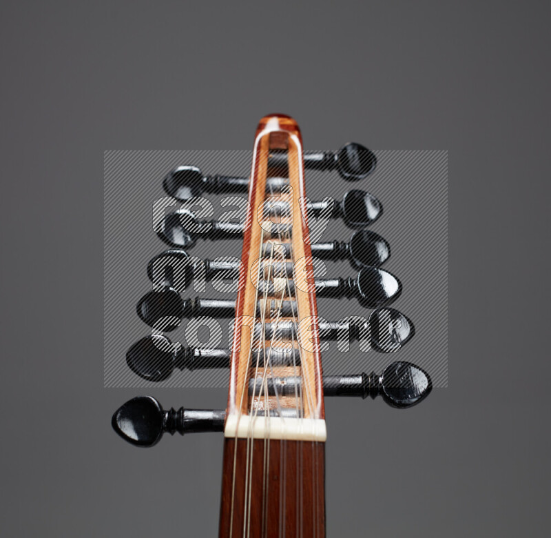 parts of a brown wooden Oud in a gray background