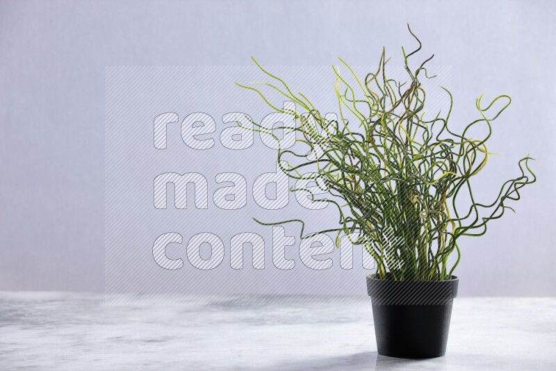 Green artificial plant in black pot on grey marble background