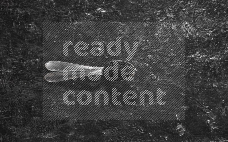 2 metal spoons full of black seeds on a textured black flooring