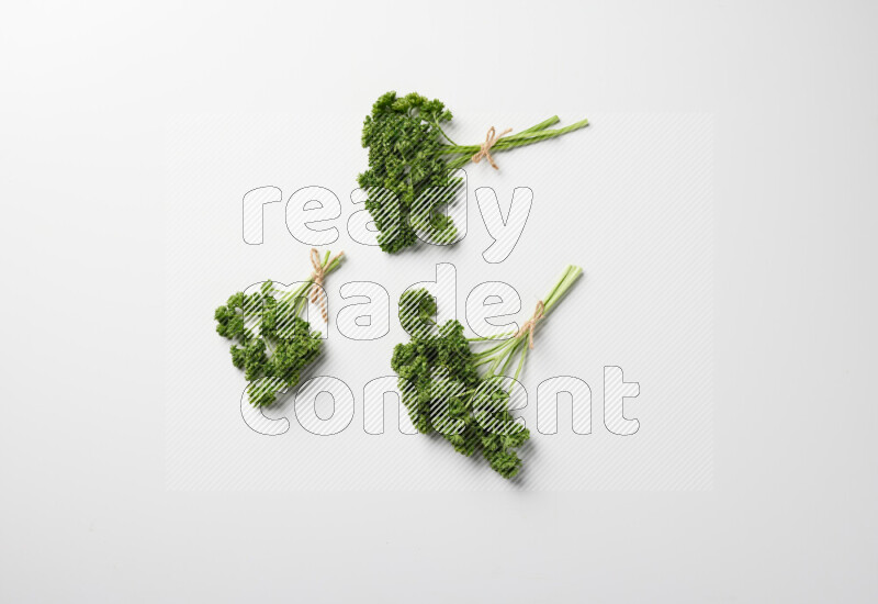 A bunch of fresh curly lettuce sprigs on a white background