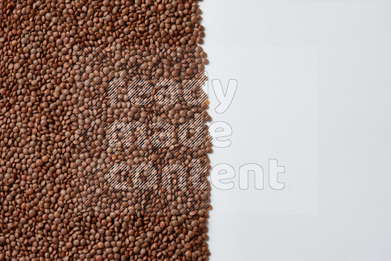 Brown lentils on white background
