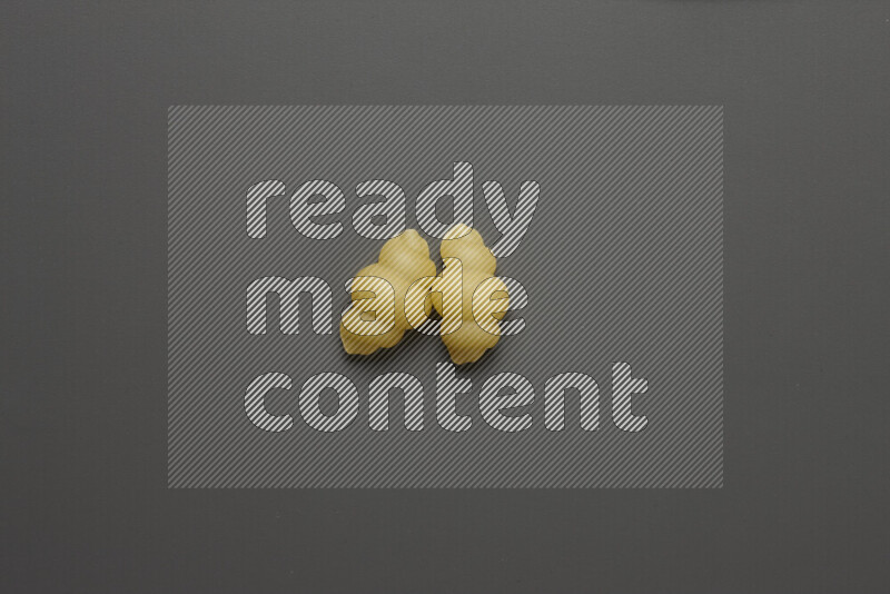 Snails pasta on grey background