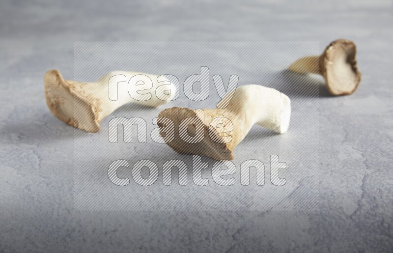 45 degre king oysters mushrooms on a textured light blue  background