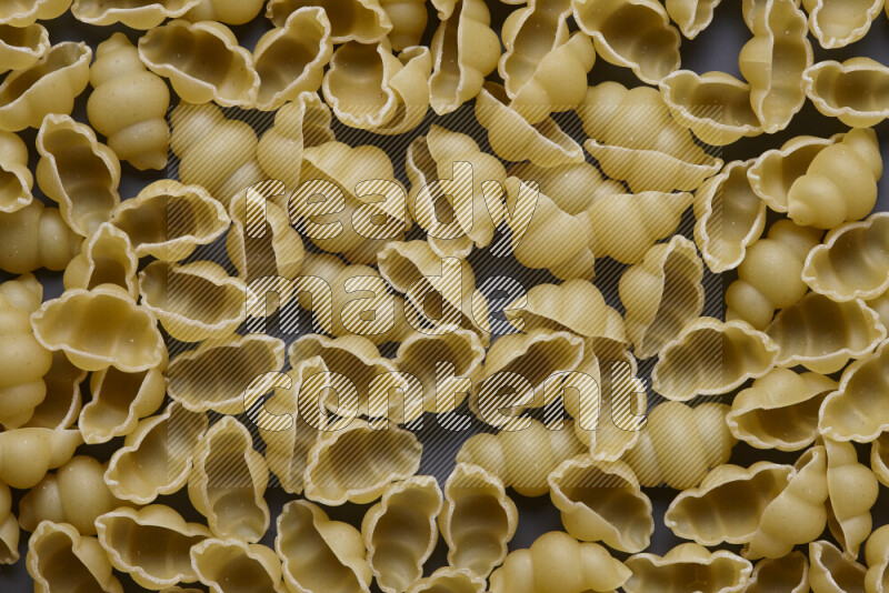 Snails pasta on grey background