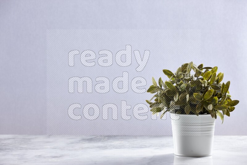 Green artificial plant in white pot on grey marble background