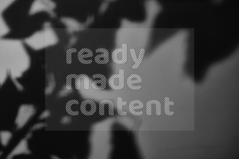 A delicate gobo light projects the silhouette of plant leaves onto a smooth surface