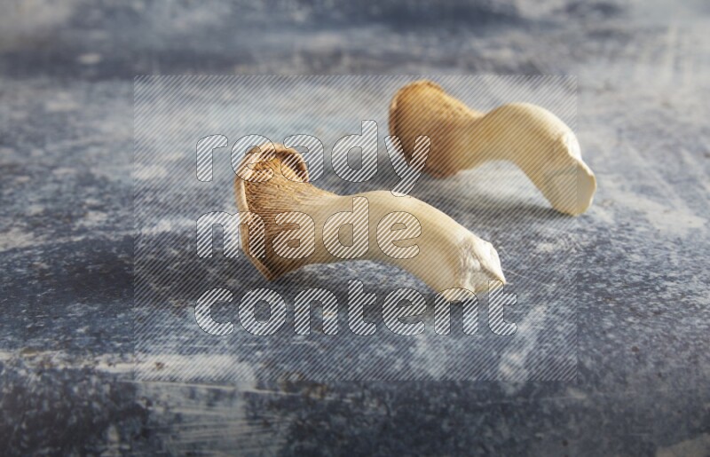45 degre king oysters mushrooms on a textured rustic blue background