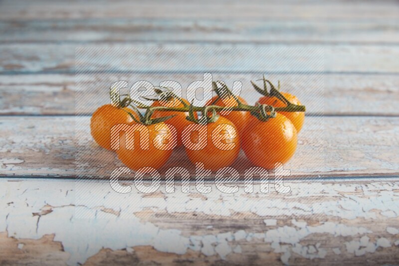 orange cherry tomato vein on a textured blue wooden background 45 degree