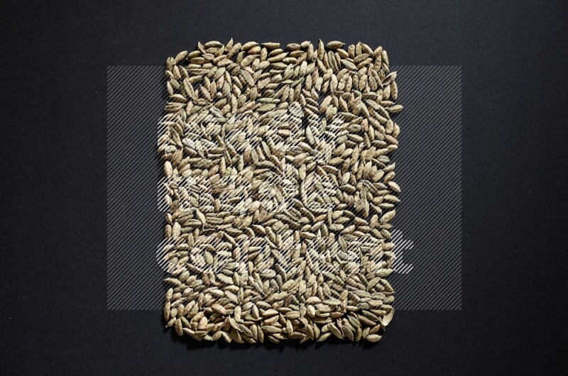 Cardamom in a rectangle shape on black flooring