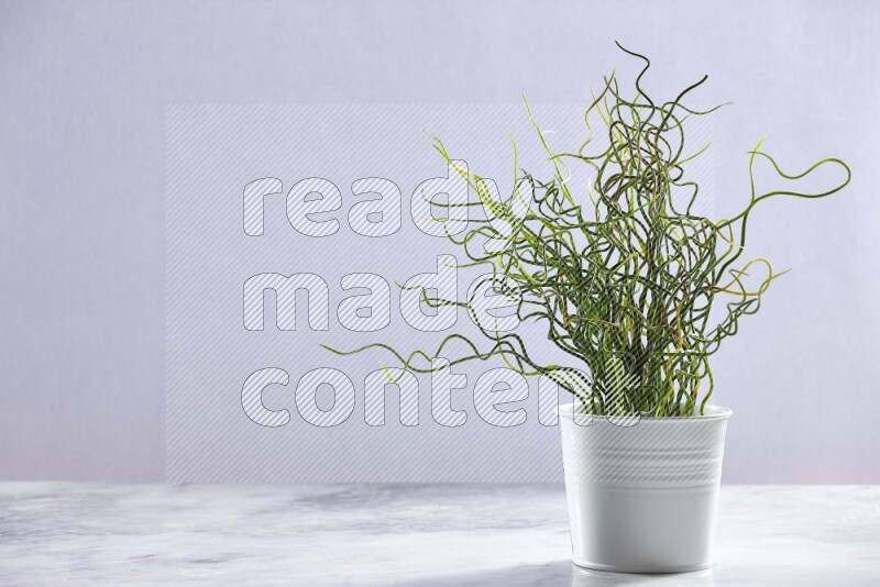 Green artificial plant in white pot on grey marble background