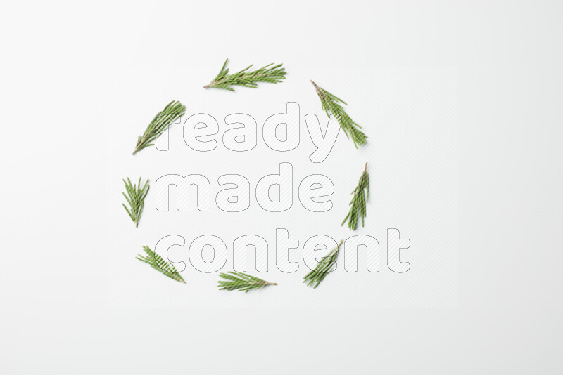 Multi fresh rosemary sprigs on white background