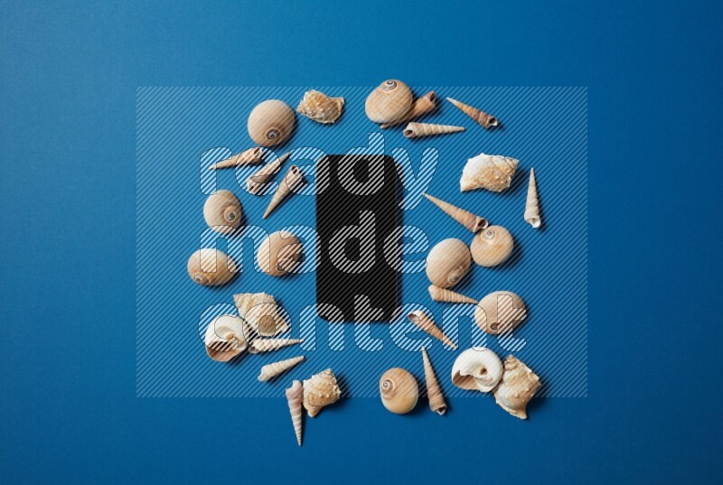 top view shot of phone with seashells on blue background