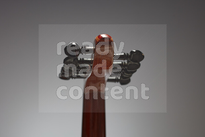 اجزاء من عود خشبي بني على خلفية رمادية