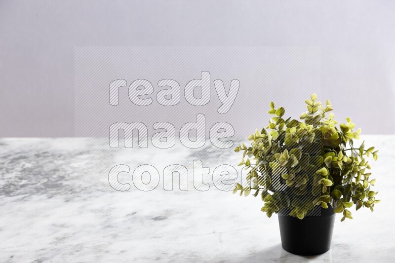 Green artificial plant in black pot on grey marble background