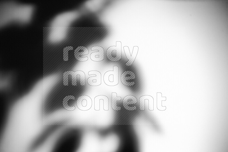 A delicate gobo light projects the silhouette of plant leaves onto a smooth surface