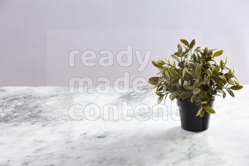 Green artificial plant in black pot on grey marble background