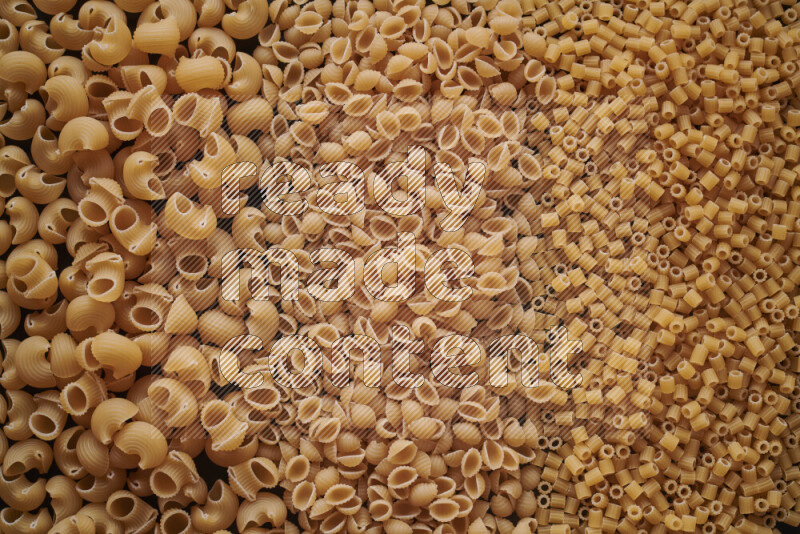 3 types of pasta filling the frame