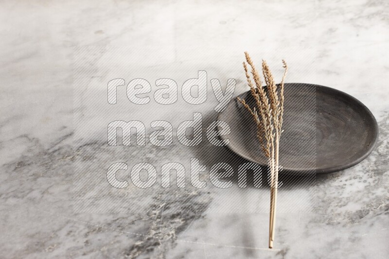 Wheat stalks on black pottery plate on grey marble background