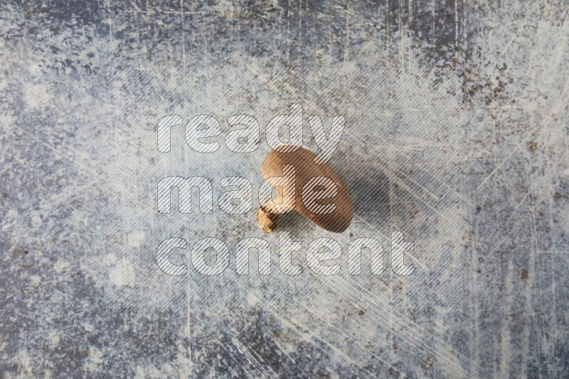 single fresh shiitake Mushroom topview  on a blue textured background