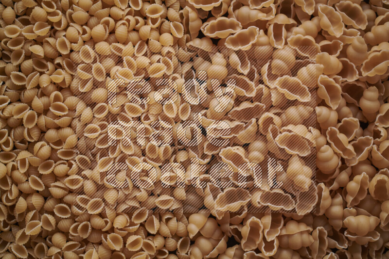 2 types of pasta filling the frame