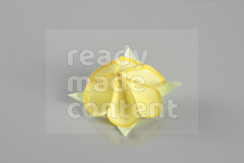 Origami flower on grey background