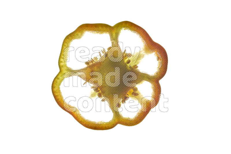 Colored bell pepper slices on illuminated white background