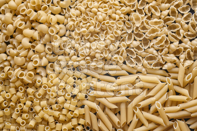 5 types of pasta filling the frame