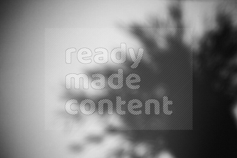 يظهر ضوء غوبو خافت ظلال أوراق نبات تسقط على سطح ناعم