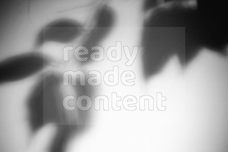 A delicate gobo light projects the silhouette of plant leaves onto a smooth surface