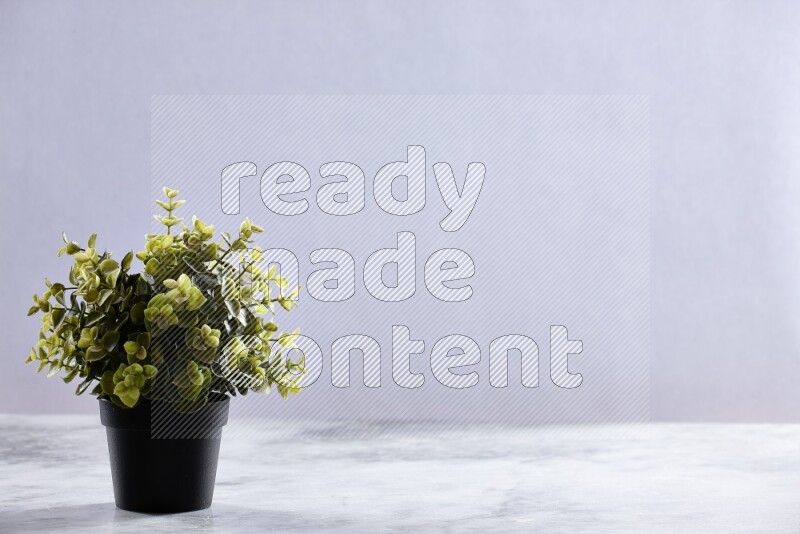 Green artificial plant in black pot on grey marble background