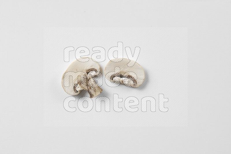 Mushrooms on white background