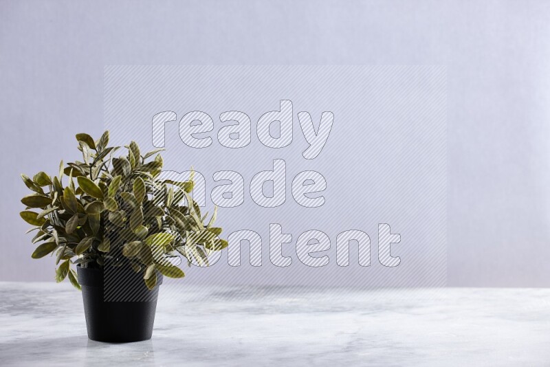 Green artificial plant in black pot on grey marble background