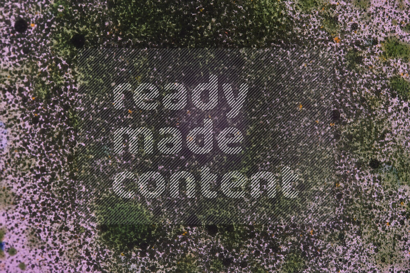 لقطات مقربة لقطرات ألوان مائية خضراء على سطح الزيت على خلفية وردية