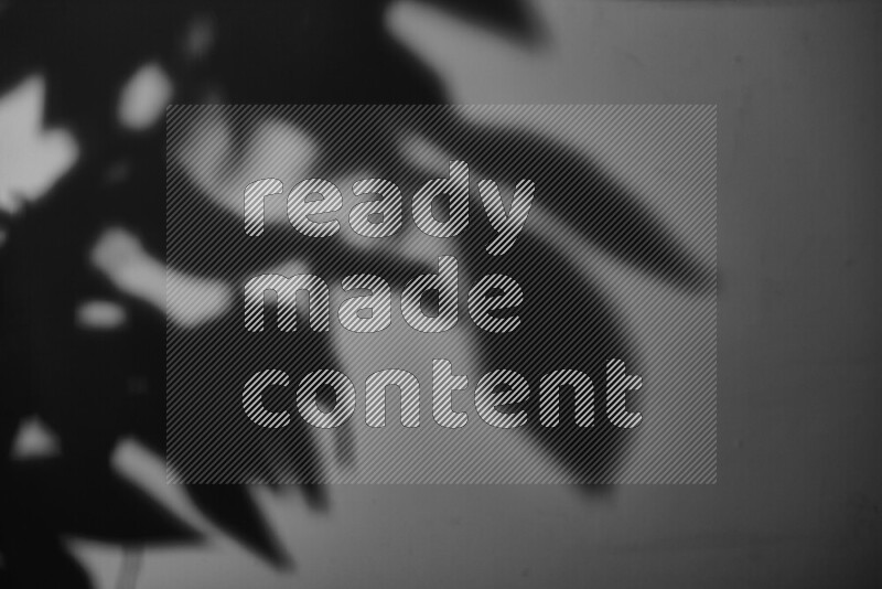 A delicate gobo light projects the silhouette of plant leaves onto a smooth surface