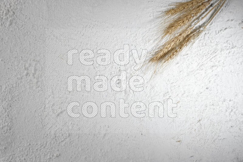 Wheat stalks on flour