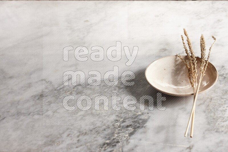 Wheat stalks on Beige Pottery Plate on grey marble flooring, 45 degree angel