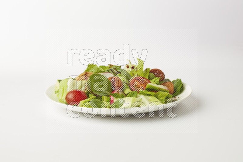 fattoush salad in a white plate direct on a white background